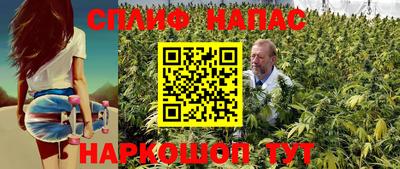 гидропоника Гусиноозёрск