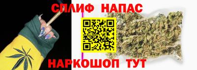 гидропоника Гусиноозёрск