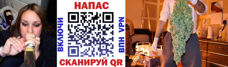 Конопля ГИДРОПОН  Кашира 